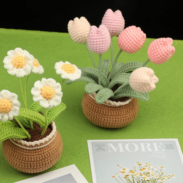 🧸 DIY Crochet Plant Kit Type A - Create Your Own Cuddly Friends!